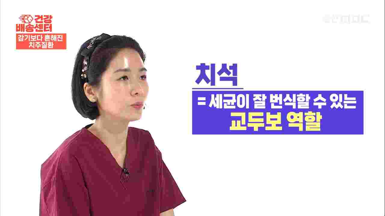 울산 남구 삼산 치과 치주과 전문의가 설명하는 치주염의 주요 질병인 치석에 대한 설명