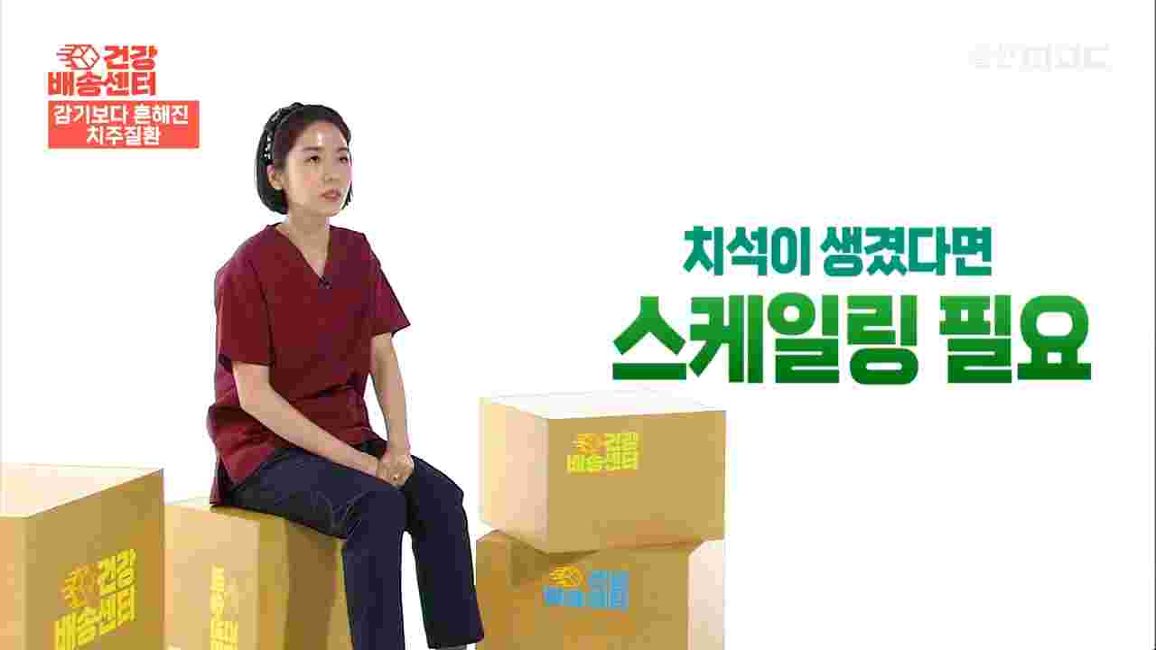 스케일링: 치태와 치석을 제거해 잇몸 염증을 완화합니다.