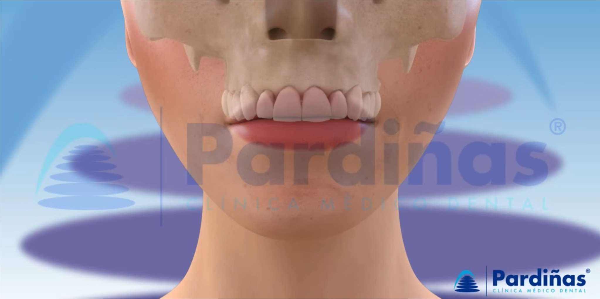 구강암 관련 모든것 울산 치과 (8) 환자 구강구조 해부
