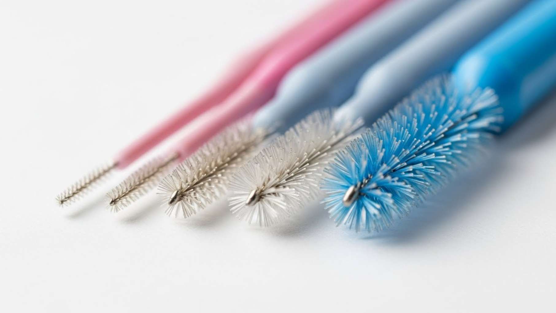 치간칫솔5 치간칫솔 사이즈 비교 SSSS부터 L까지, 치아 틈새 크기별 도구