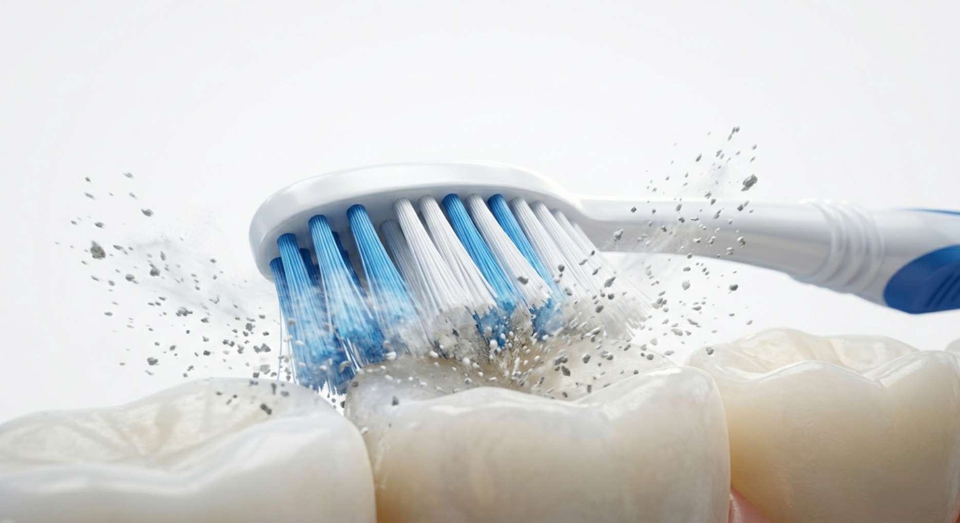 칫솔질로 치아 표면의 치태와 세균이 제거되는 역동적인 모습